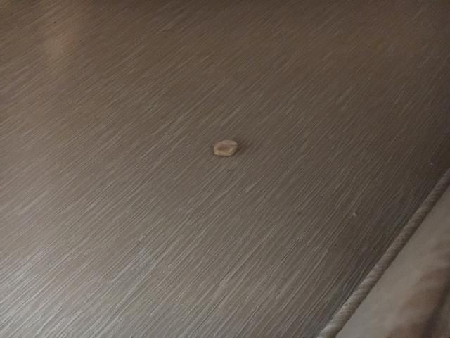 post-12654-14666761420002_thumb.jpg