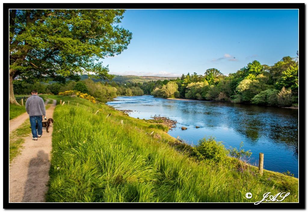 post-153732-0-39663600-1466088851_thumb.