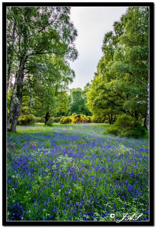 post-153732-0-49157800-1466088446_thumb.