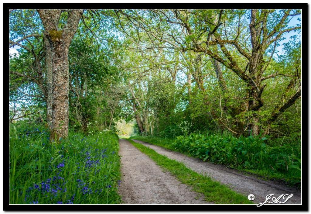 post-153732-0-53161500-1466088433_thumb.