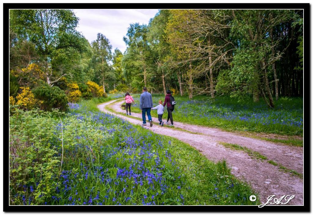 post-153732-0-79501200-1466088422_thumb.