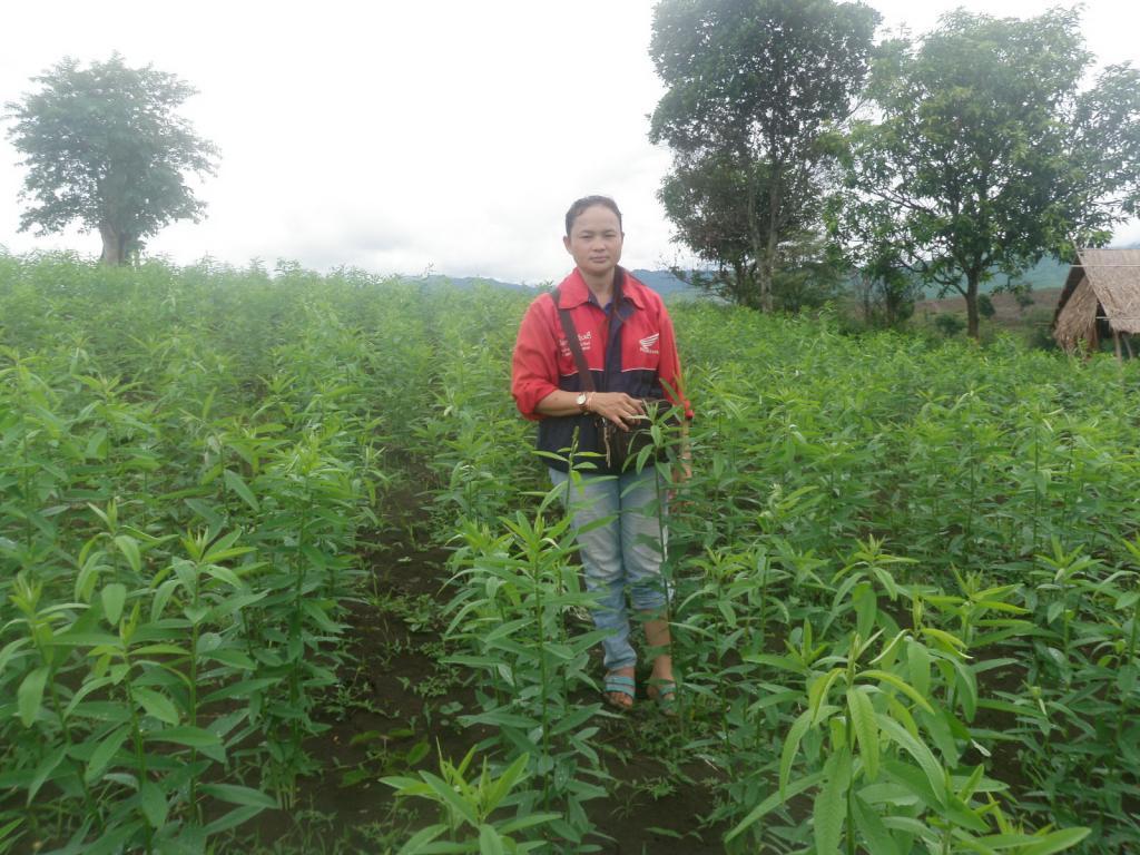 post-162586-0-13892100-1467013159_thumb.