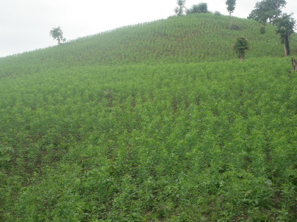 post-162586-0-75644400-1467013175_thumb.