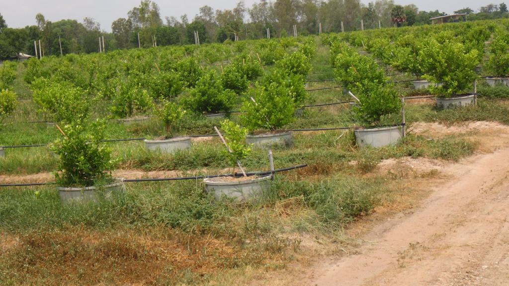 post-173146-0-08565600-1466608180_thumb.