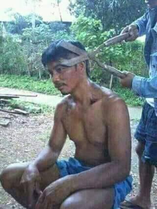 post-176122-0-31270100-1467264691_thumb.
