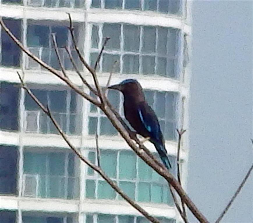 post-216783-0-02095200-1466680956_thumb.