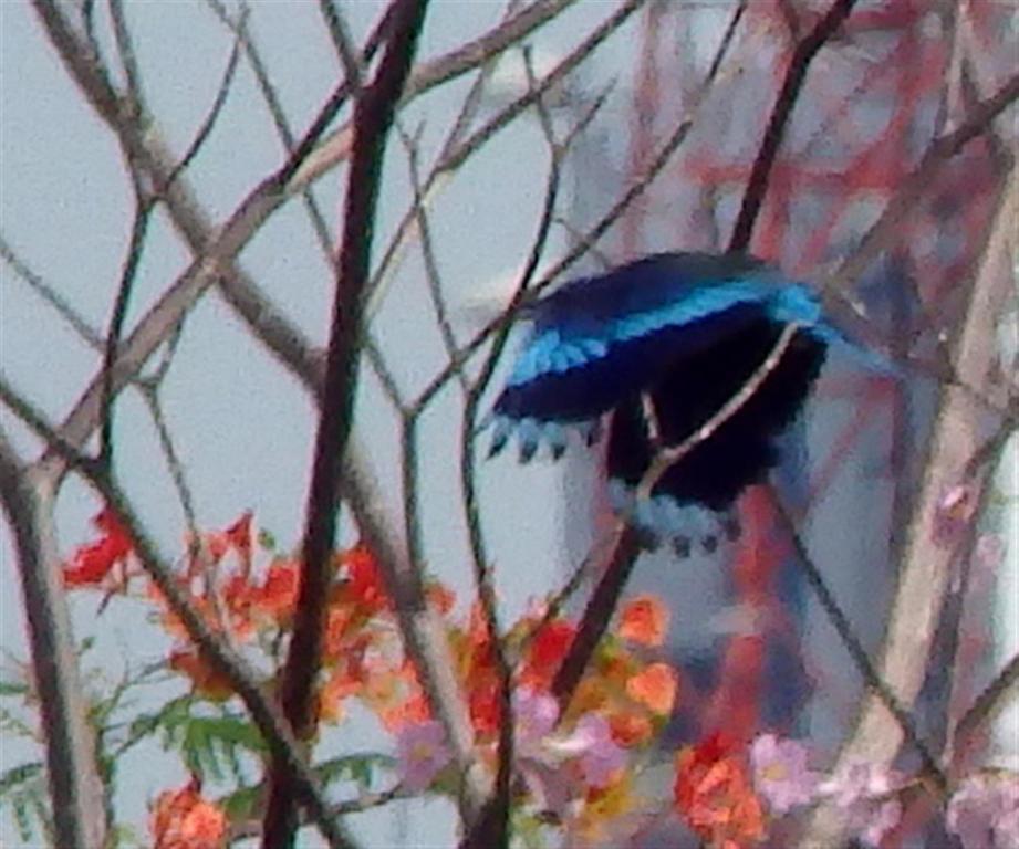 post-216783-0-02215100-1466680961_thumb.