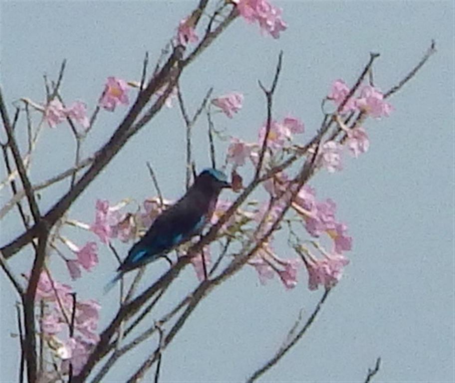 post-216783-0-34220900-1466680958_thumb.