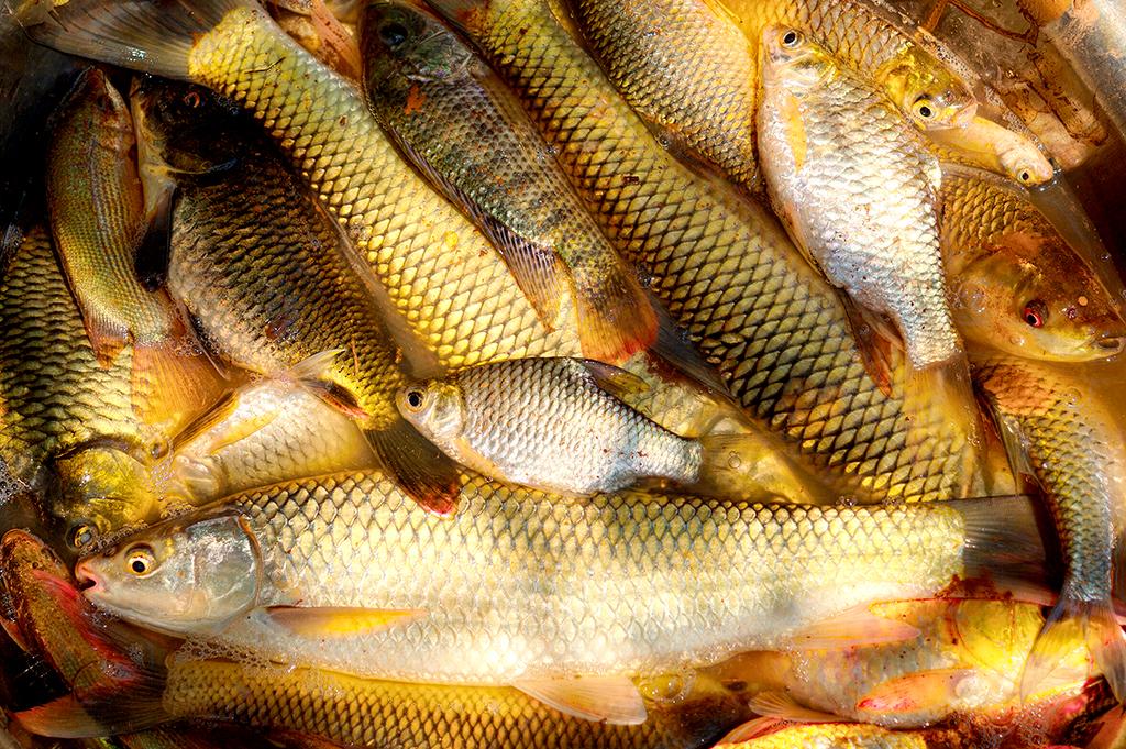 post-228573-0-38038600-1466080104_thumb.