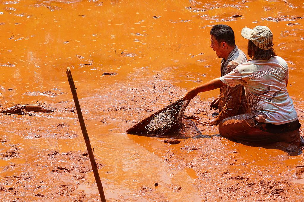 post-228573-0-91785400-1466079982_thumb.