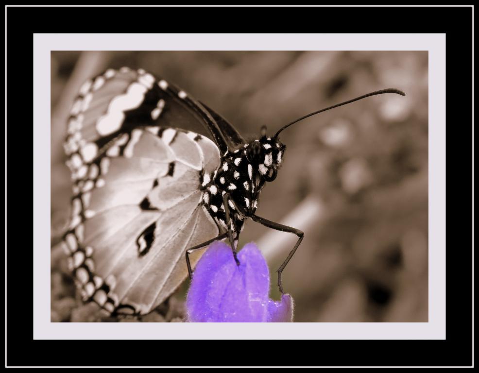 post-231841-0-20558100-1466776334_thumb.