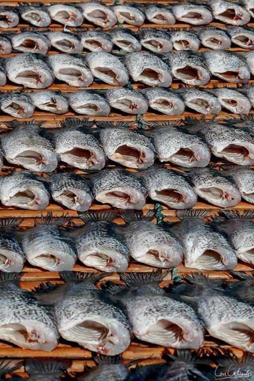 post-242715-0-16342700-1467255190_thumb.