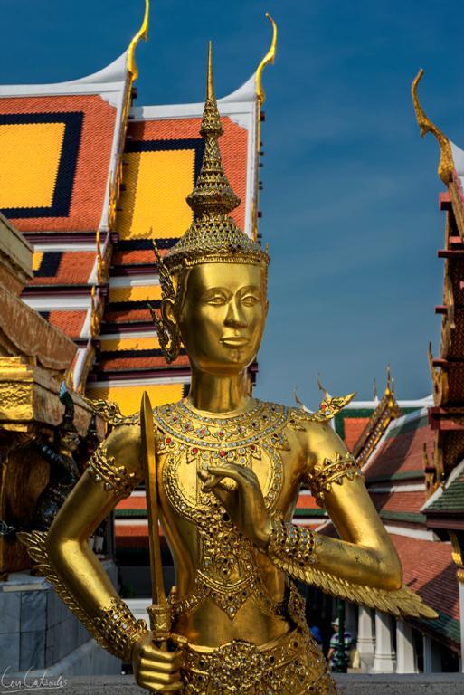 post-242715-0-64116900-1466825493_thumb.