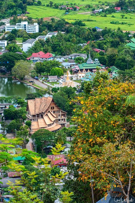 post-242715-0-69183100-1464919301_thumb.