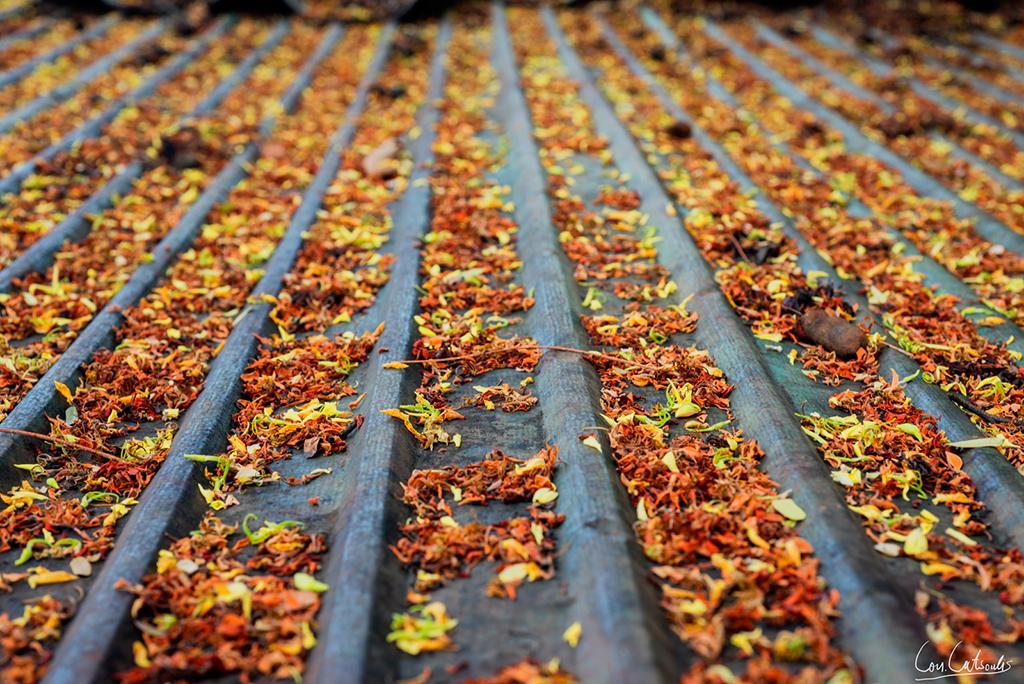 post-242715-0-87251700-1467023070_thumb.