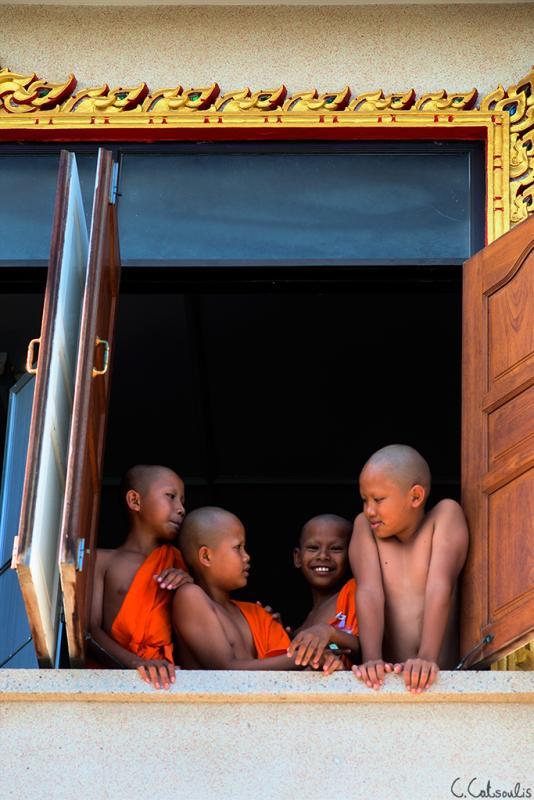 post-242715-0-90844900-1465520553_thumb.