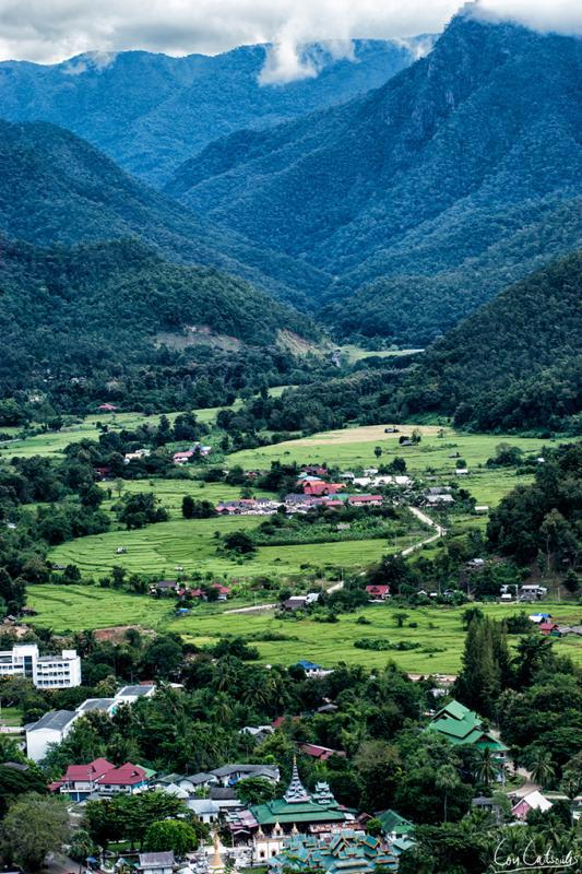 post-242715-0-91777000-1464919424_thumb.