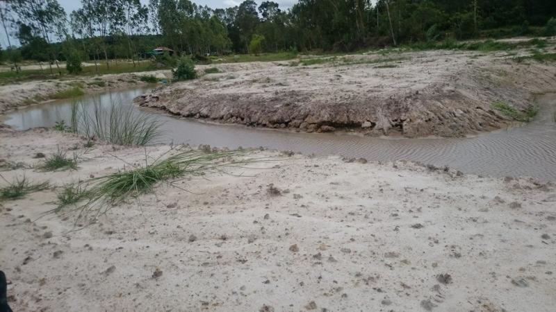 post-247101-0-43643000-1465806671_thumb.