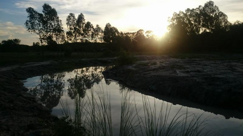 post-247101-0-43878700-1465806480_thumb.