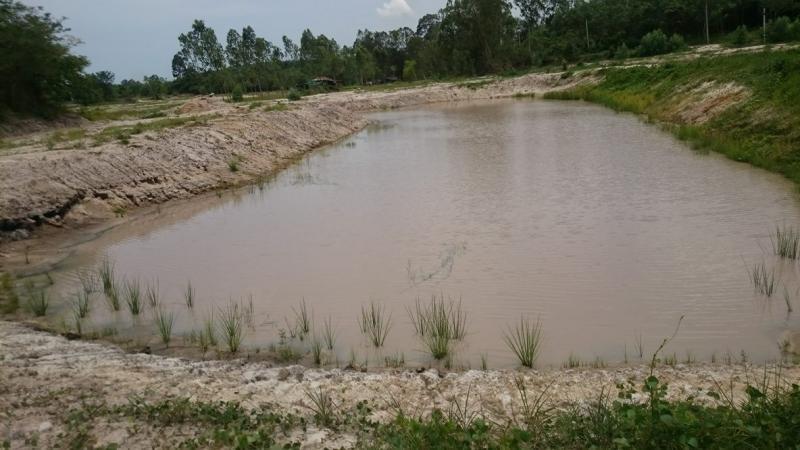 post-247101-0-84901300-1465806472_thumb.