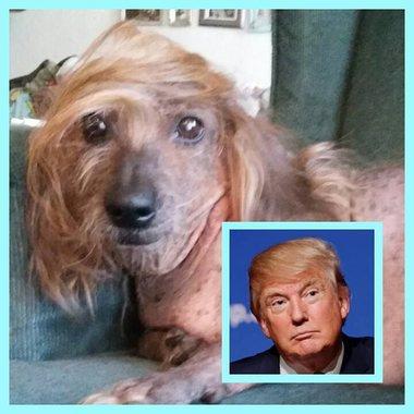 post-37101-0-33222700-1466882067_thumb.j