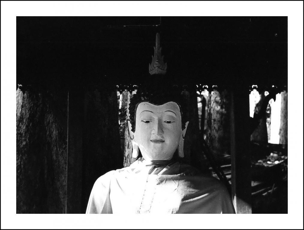 post-41729-0-20970800-1466871073_thumb.j