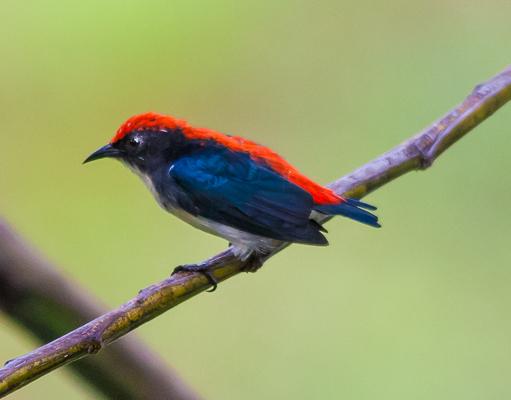 post-59731-0-52506100-1467186288_thumb.j