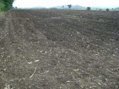 post-77463-0-87015700-1466036997_thumb.j