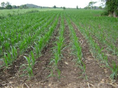 post-77463-0-91437500-1466036918_thumb.j