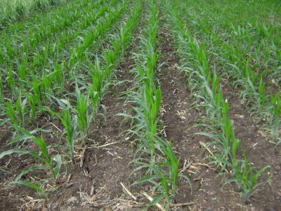 post-77463-0-92822700-1466036949_thumb.j