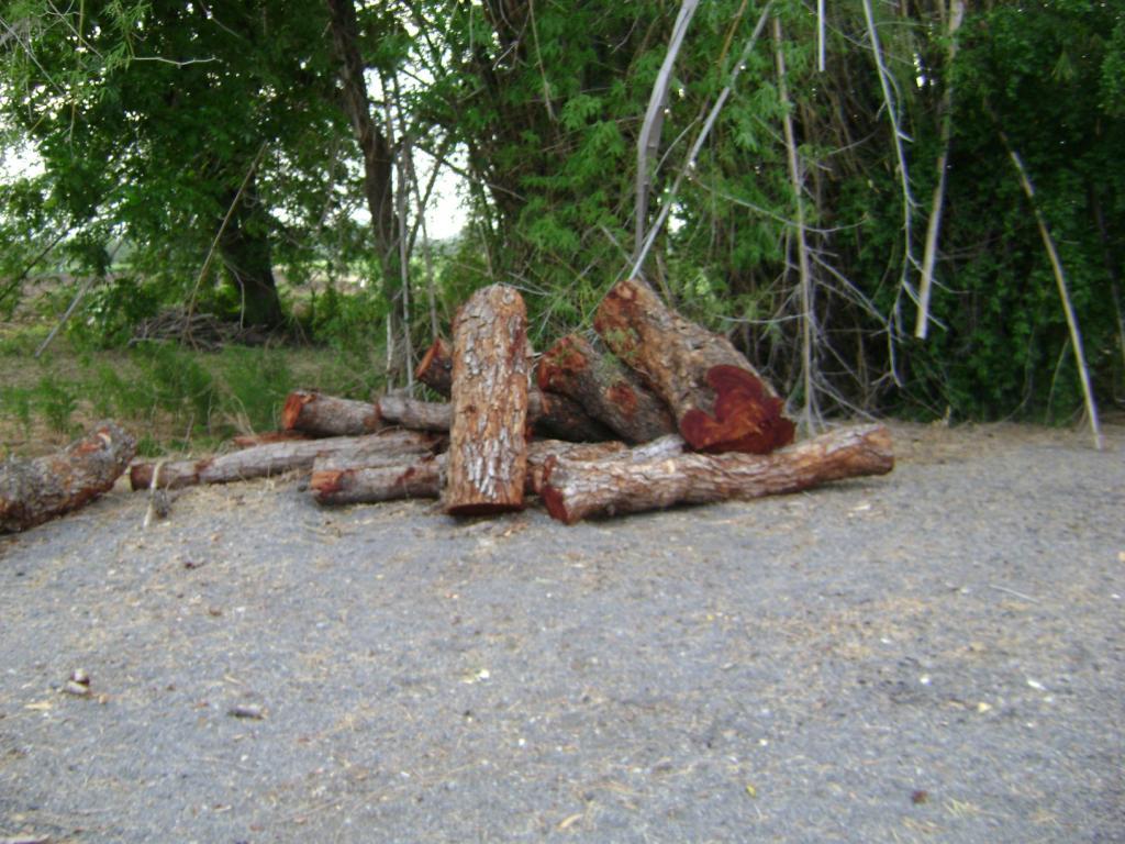 post-77463-0-98280800-1466374292_thumb.j