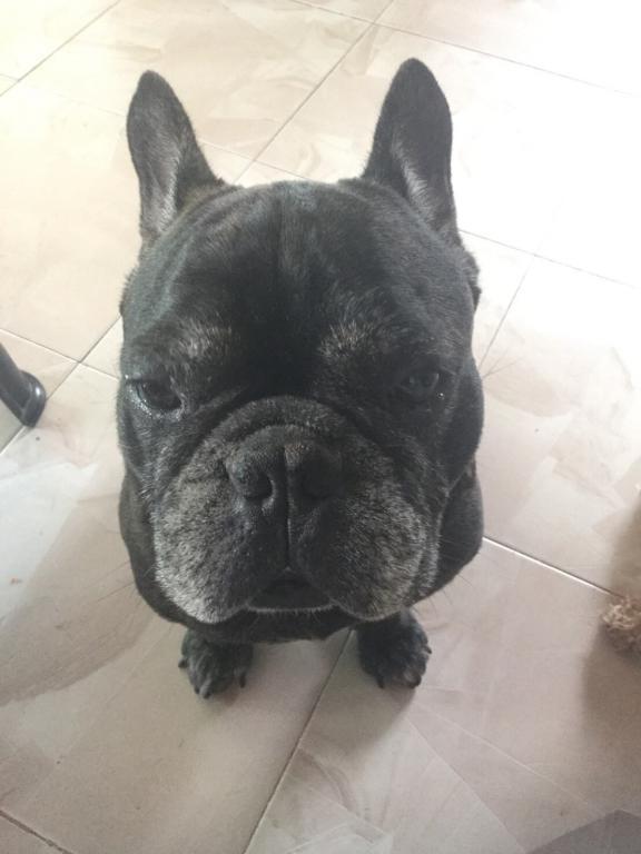 post-77511-0-00881600-1467283036_thumb.j