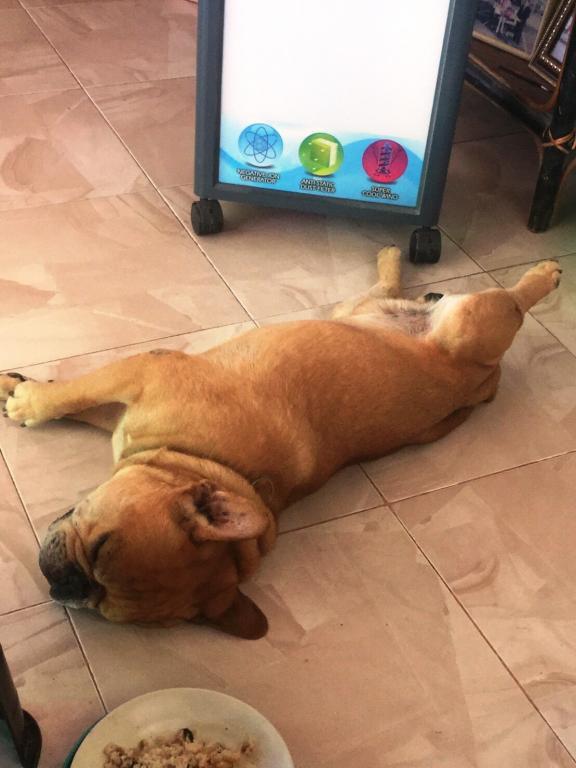 post-77511-0-09777000-1466581109_thumb.j