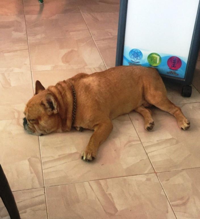 post-77511-0-37329100-1466577771_thumb.j