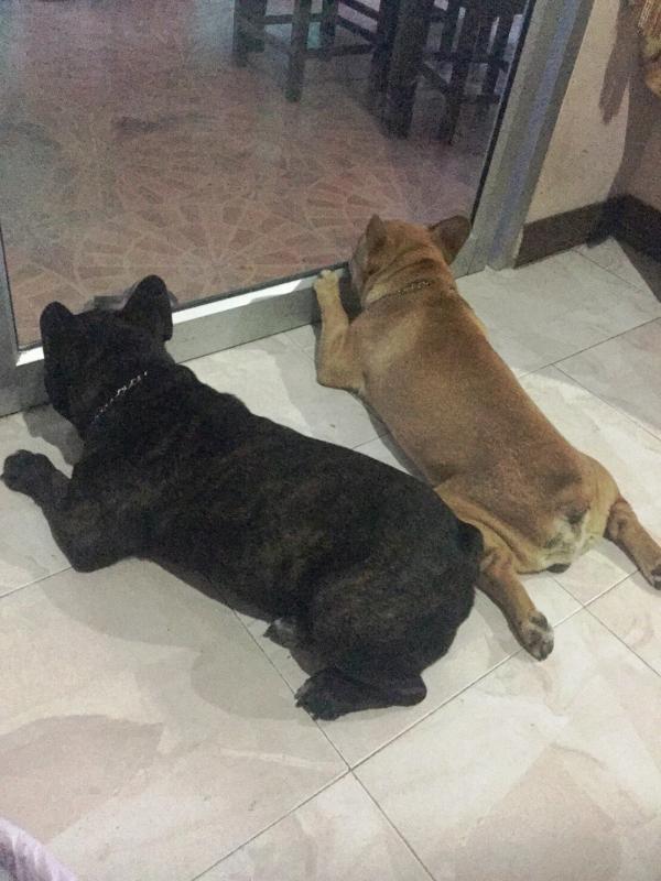 post-77511-0-40914800-1464770157_thumb.j