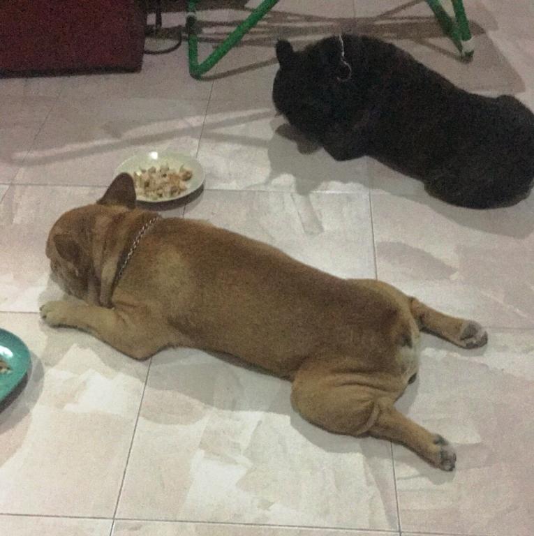 post-77511-0-65158900-1466577693_thumb.j