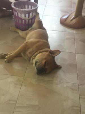 post-77511-0-76005900-1465970752_thumb.j