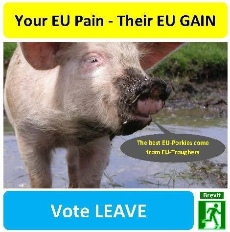 post-78707-0-83763600-1465740725_thumb.j