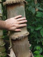 post-25665-1214900318_thumb.jpg