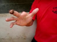 post-81849-1246463520_thumb.jpg