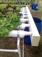 post-37242-035402400 1280163771_thumb.jp