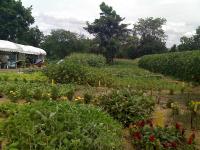 post-37242-053533700 1280163738_thumb.jp