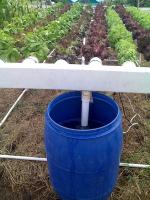 post-37242-065742100 1280163805_thumb.jp