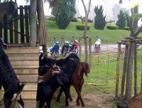 post-37242-073011100 1280163864_thumb.jp