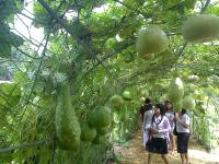 post-37242-089862000 1280163699_thumb.jp