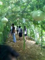 post-37242-093865600 1280163647_thumb.jp