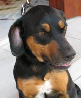 post-38081-079543900 1279589226_thumb.jp