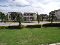 post-42984-054586400 1280550773_thumb.jp