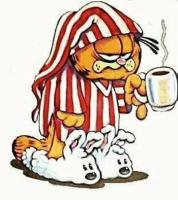 post-46648-035153700 1279844315_thumb.jp