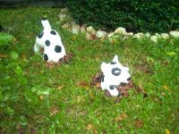 post-46832-088890100 1279991418_thumb.jp